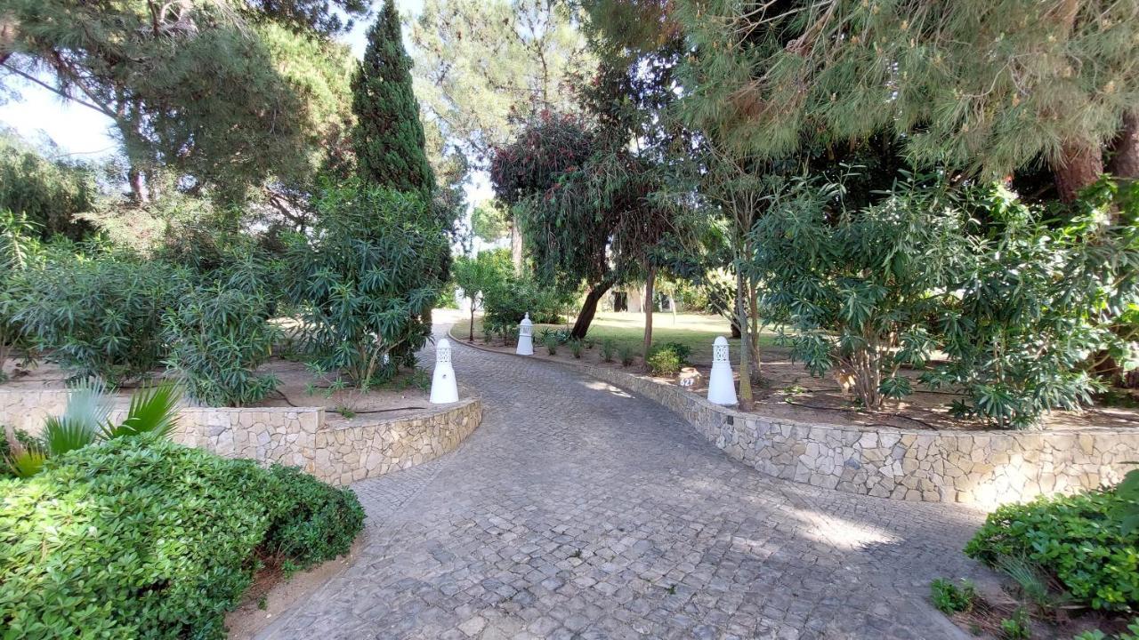 Casa Jolie Villa วาเลโดโลโบ ภายนอก รูปภาพ
